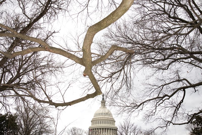 &copy; Reuters. FILE PHOTO: The U.S. Capitol is pictured ahead of a storm, on Capitol Hill in Washington, U.S., March 31, 2022. REUTERS/Tom Brenner   