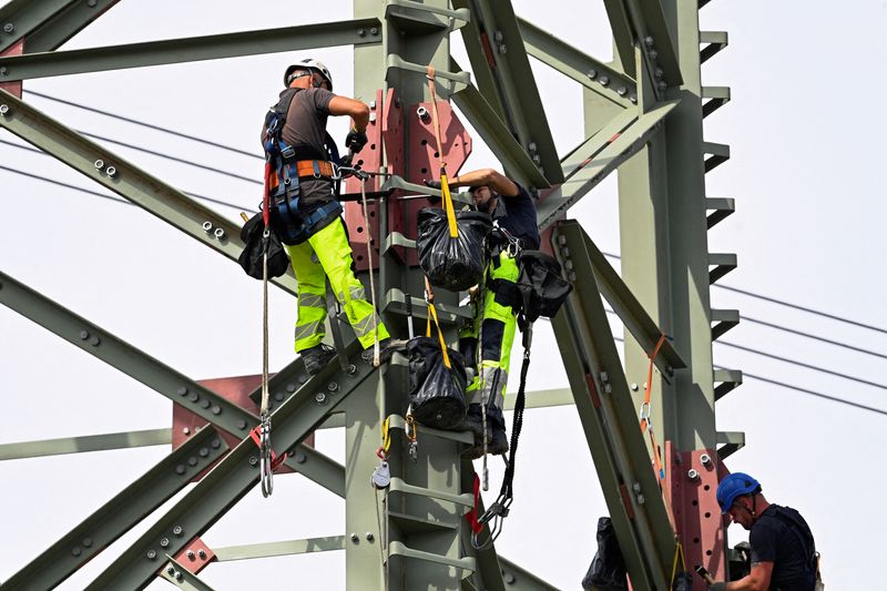 &copy; Reuters. FILE PHOTO: Specialists work at high voltage power lines near Hohenhameln, Germany, August 2, 2022. REUTERS/Fabian Bimmer