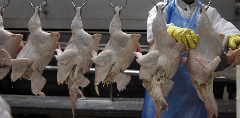 &copy; Reuters. Frangos abatidos em unidade industrial de São Paulo.  REUTERS/Paulo Whitaker (BRAZIL - Tags: ANIMALS FOOD EMPLOYMENT BUSINESS)