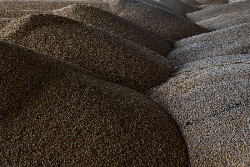 &copy; Reuters. Silo com milho
10/06/ 2022
 REUTERS/Anna Voitenko