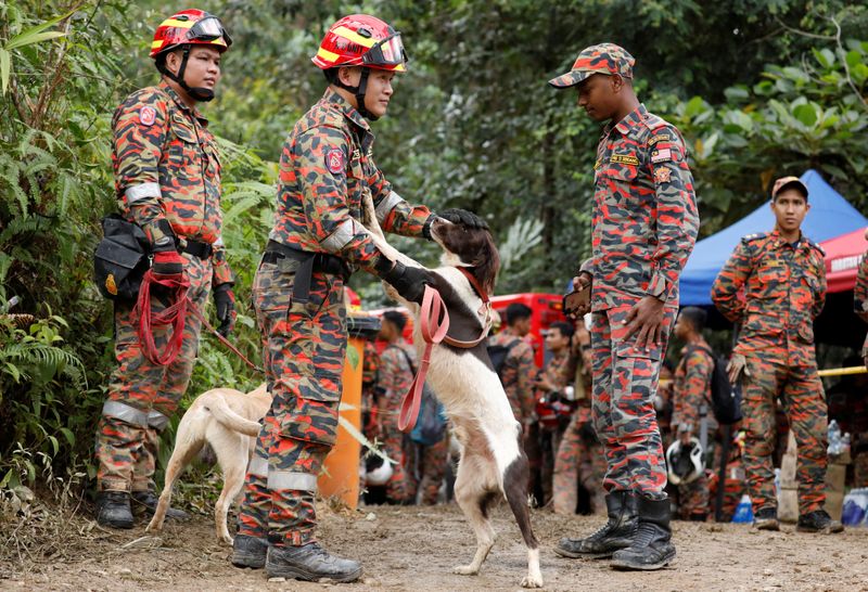 &copy; Reuters. أحد أفراد فرق الإنقاذ يربت على كلب إنقاذ يساعد في البحث عن ضحايا انهيار أرضي في منطقة باتانج كالي بولاية سيلانجور في ماليزيا يوم السبت. تصوي