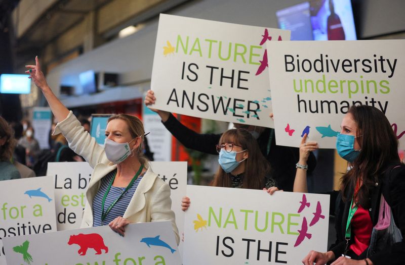 Cumbre de la ONU presenta un nuevo proyecto de acuerdo para proteger la naturaleza