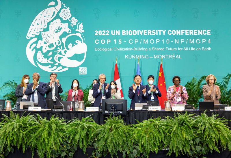 © Reuters. The leadership of the U.N.-backed COP15 biodiversity conference applaud after passing the The Kunming-Montreal Global Biodiversity Framework in Montreal, Quebec, Canada December 19, 2022.  Julian Haber/UN Biodiversity/Handout via REUTERS   