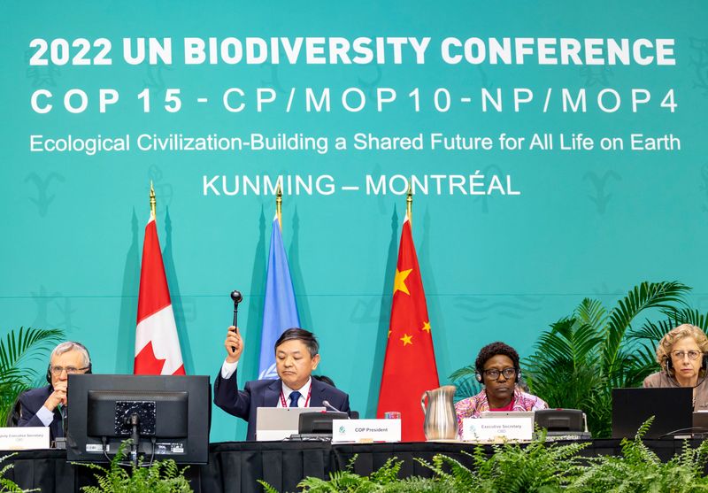 &copy; Reuters. Presidente da COP15, o ministro da Ecologia e do Meio Ambiente da China, Huang Runqiu, declara aprovação de acordo durante cúpula em Monrtreal, no Canadá
19/12/2022 Julian Haber/ONU Biodiversidade/Divulgação via REUTERS