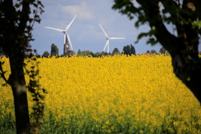 &copy; Reuters. Des éoliennes à Saint-Hilaire-Lez-Cambrai près de Cambrai, en France. /Photo prise le 26 avril 2018/REUTERS/Pascal Rossignol