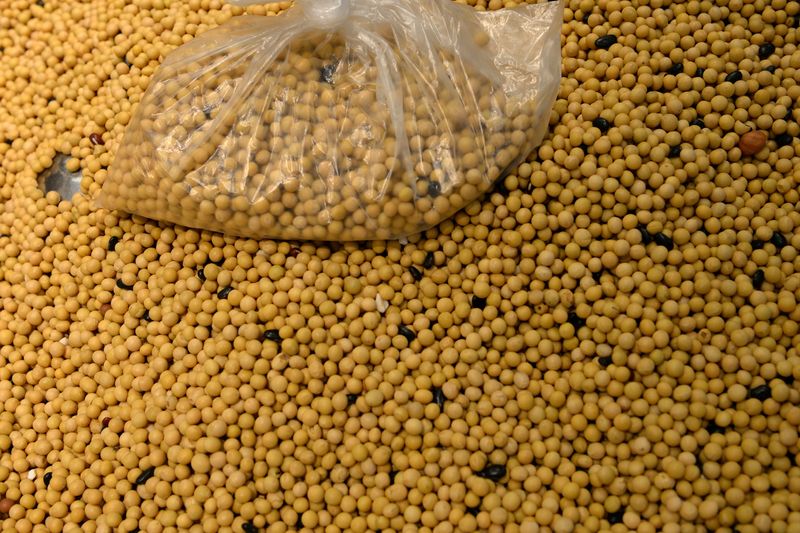 &copy; Reuters. Imagen de archivo de una bolsa de porotos de soja sobre porotos de soja a la venta en un supermercado Walmart en Pekín, China. 23 de septiembre, 2019. REUTERS/Tingshu Wang/Archivo