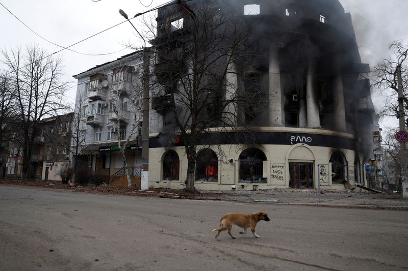 &copy; Reuters. Un cane davanti a un edificio bruciato da un attacco, durante un intenso bombardamento a Bakhmut, Ucraina, 26 dicembre 2022. REUTERS/Clodagh Kilcoyne