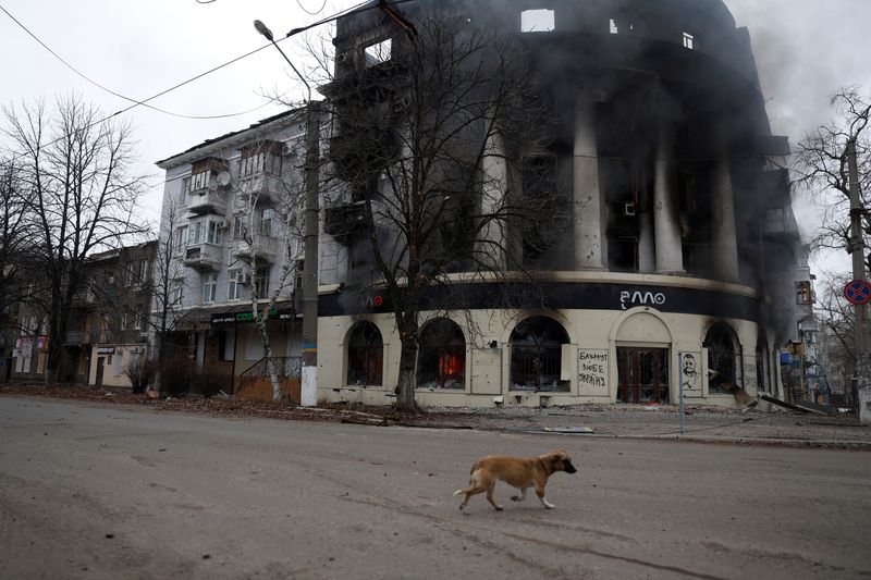 &copy; Reuters. Un chien passe devant un bâtiment brûlé par une frappe, lors d'un bombardement à Bakhmout, en Ukraine. /Photo prise le 26 décembre 2022/REUTERS/Clodagh Kilcoyne