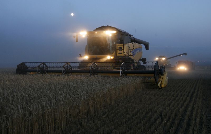 &copy; Reuters. FOTO DE ARCHIVO: Segadoras trabajan después del atardecer en un campo de trigo de la empresa agrícola Solgonskoye cerca del pueblo de Talniki, al suroeste de la ciudad siberiana de Krasnoyarsk, Rusia. 27 de agosto, 2015. REUTERS/Ilya Naymushin/Archivo