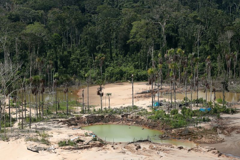 &copy; Reuters. Vista aérea da floresta amazônica no Peru 
 5/3/2019   REUTERS/Guadalupe Pardo