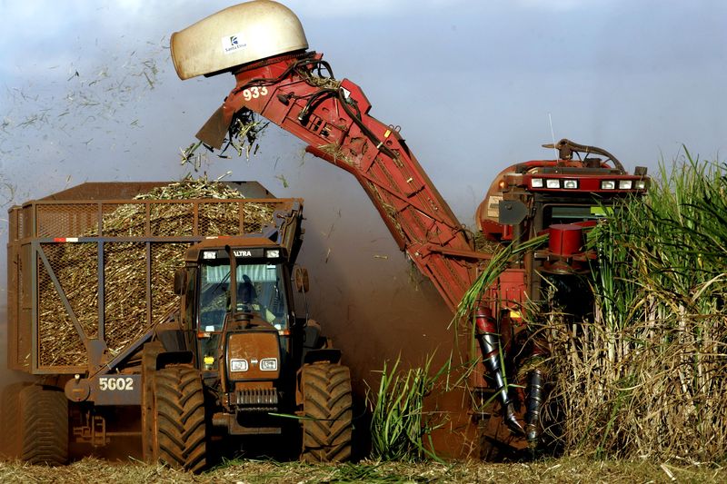 &copy; Reuters. Colheita de cana-de-açúcar em Sertãozinho (SP)
15/12/2022
REUTERS/Paulo Whitaker (BRAZIL)