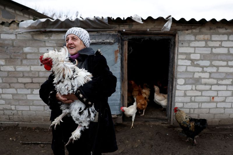 &copy; Reuters. La granjera Yevheniia Andriivna, de 70 años, que se niega a evacuar para cuidar de sus animales y los de su marido, sostiene una de sus preciadas gallinas, mientras continúa el ataque de Rusia a Ucrania, en Yampil, Ucrania. 28 de diciembre de 2022. REUT