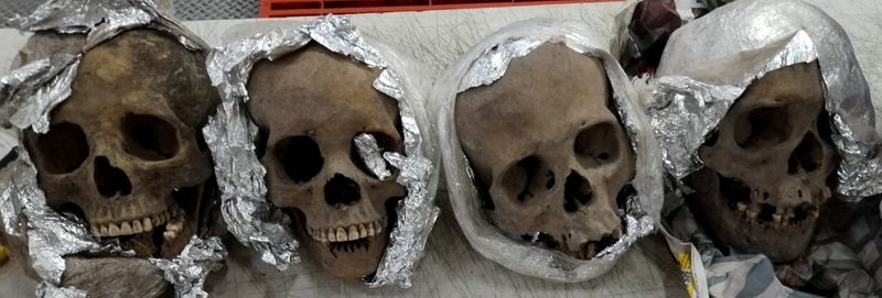 &copy; Reuters. Four human skulls wrapped in plastic and aluminum foil are seen during an inspection by the National Guard inside a package bound for the United States at a courier company located at the Queretaro Intercontinental airport, in Queretaro, Mexico in this ph