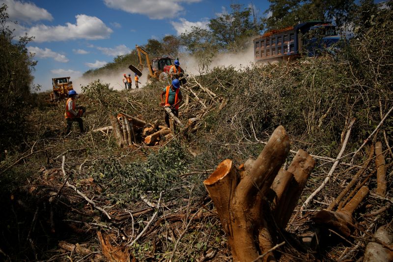 &copy; Reuters. Workers clear trees for the construction of section 4 of the new Mayan Train route, near Nuevo Xcan, Chemax, Mexico, March 3, 2022. In the eyes of President Andres Manuel Lopez Obrador, the railway his government is building - known as the Tren Maya - wil