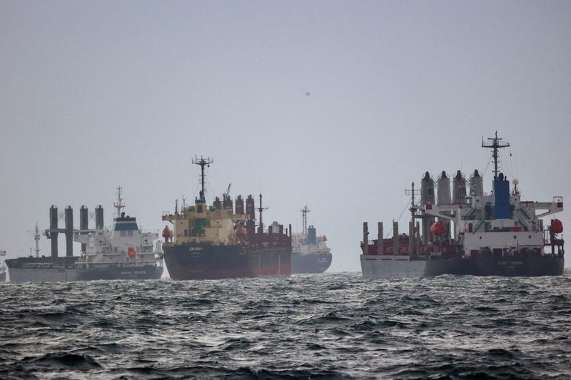 &copy; Reuters. Navios aguardam inspeção no Bósforo
11/12/202e
REUTERS/Yoruk Isik