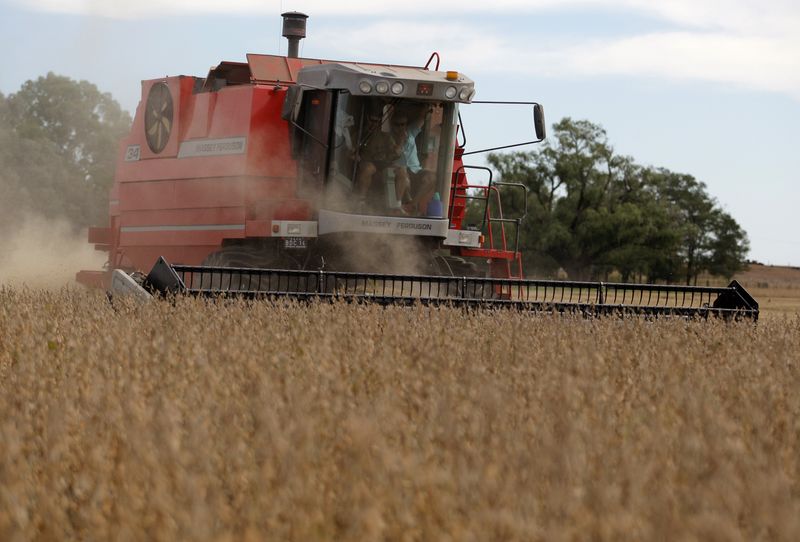 &copy; Reuters. Colheita de soja em fazenda argentina de Estación Islas
04/01/2023
REUTERS/Enrique Marcarian 