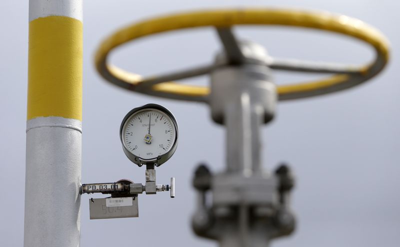 &copy; Reuters. A pressure gauge is seen at the gas cavern storage in Haje, near the village of Jesenice in central Bohemia September 9, 2014. REUTERS/David W Cerny/File Photo