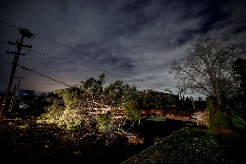 &copy; Reuters. Uma árvore bloqueia uma estrada depois de cair com ventos fortes durante uma tempestade de inverno em West Sacramento, Califórnia, EUA, 8 de janeiro de 2023. REUTERS/Fred Greaves