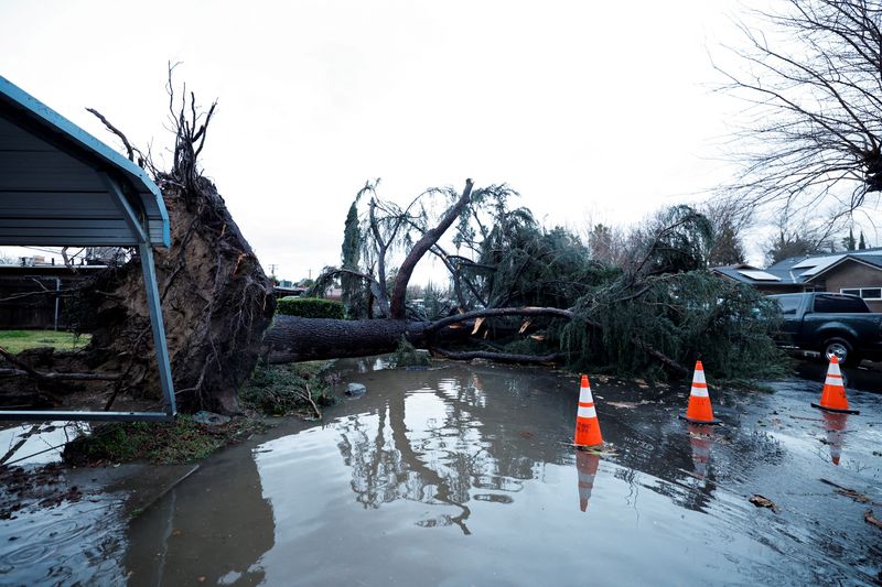 &copy; Reuters. FILE PHOTO: A tree blocks a roadway after it fell in high winds during a winter storm in West Sacramento, California, U.S. January 8, 2023. REUTERS/Fred Greaves/File Photo