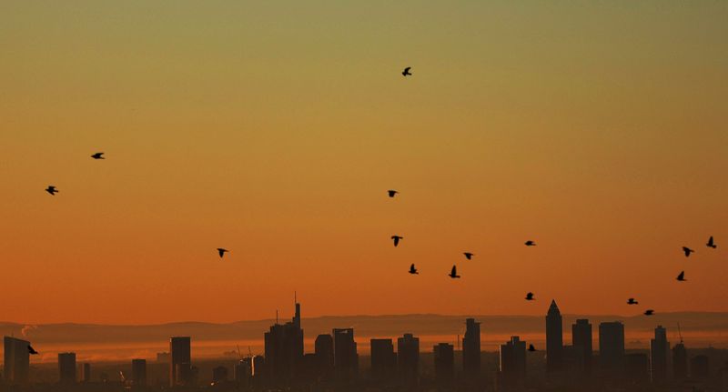 &copy; Reuters. FILE PHOTO: Birds are seen over the skyline as the sun rises in Frankfurt, Germany, September 22, 2022.  REUTERS/Kai Pfaffenbach