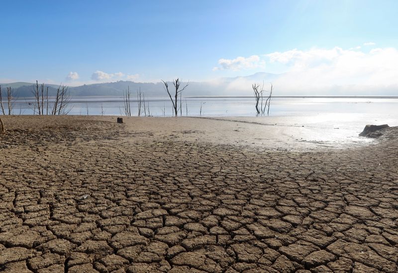 &copy; Reuters. Vista de un terreno agrietado cerca de la presa de Sidi El Barrak con niveles de agua agotados, en Nafza, al oeste de la capital Túnez, Túnez, 7 de enero de 2023. REUTERS/Jihed Abidellaoui
