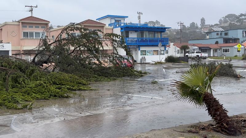 &copy; Reuters. Fallen trees lie on the street following a bomb cyclone in Rio del Mar, California, U.S., January 11, 2023, in this screen grab obtained from a social media video.  Courtesy fo Twitter/@GaryLeeDance/via REUTERS