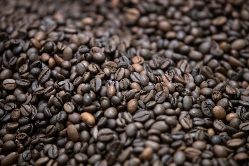 © Reuters. Grãos de café em indústria de Sotteville-les-Rouen, França
12/01/2023
REUTERS/Philippe Wojazer