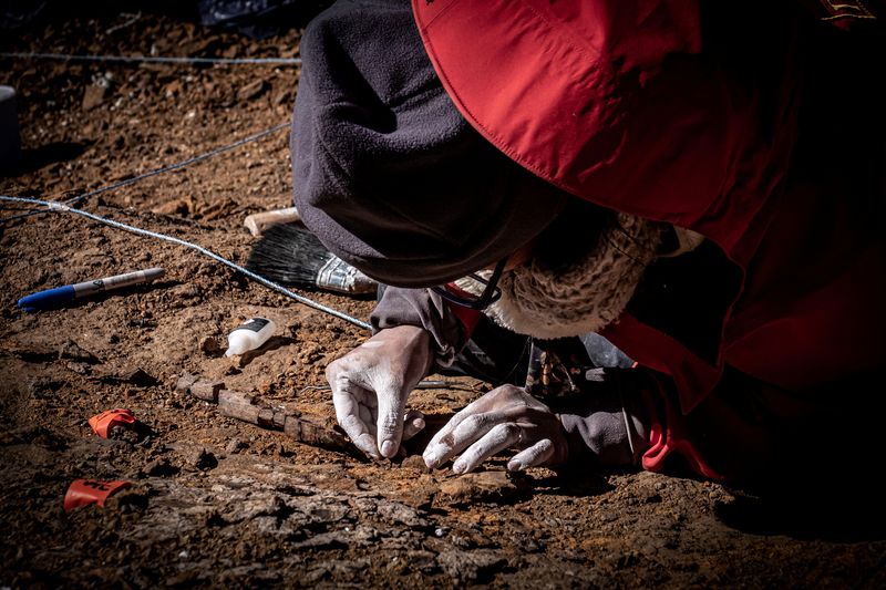 &copy; Reuters. رجل يعمل في موقع استخراج حفريات لديناصورات من نوع ميجارابتور في تشيلي في صورة غير مؤرخة صدرت يوم 16 يناير كانون الثاني 2023. صورة لرويترز من معه