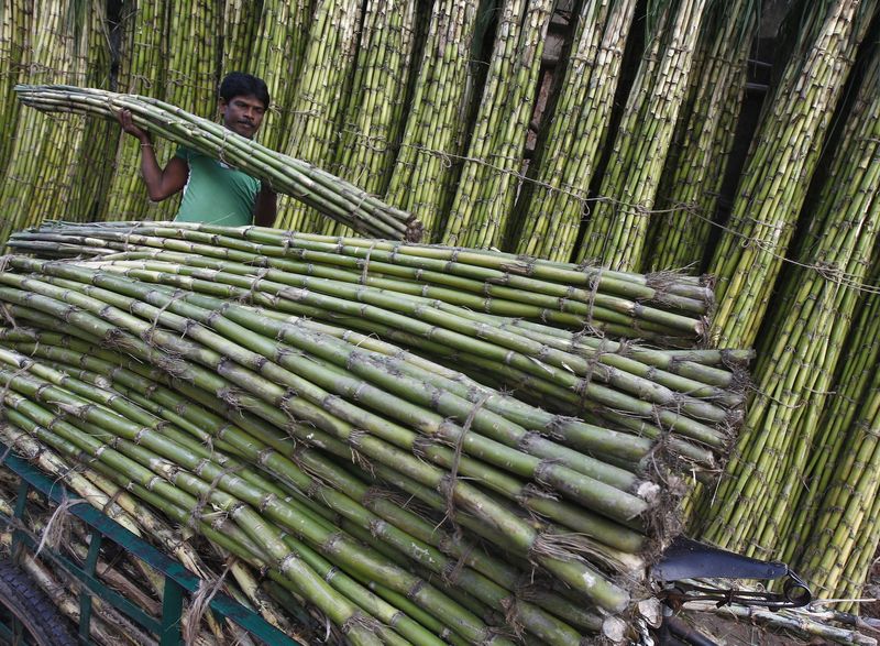 &copy; Reuters. Produção de cana-de-açúcar em Kolkata, Índia
19/12/2022 
REUTERS/Rupak De Chowdhuri