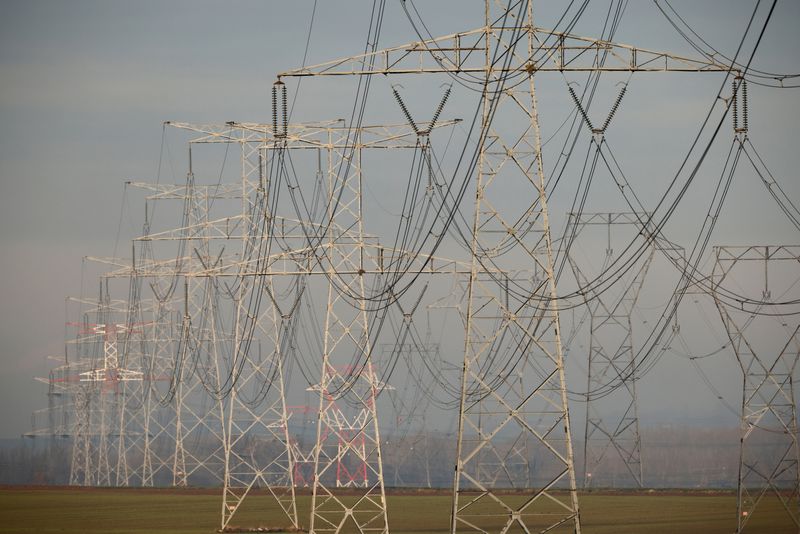 &copy; Reuters. Photo des lignes électriques à haute tension visibles à Avesnes-le-Sec, près de Cambrai. /Photo prise le 8 janvier 2021 à Avesnes-le-Sec, France/REUTERS/Pascal Rossignol