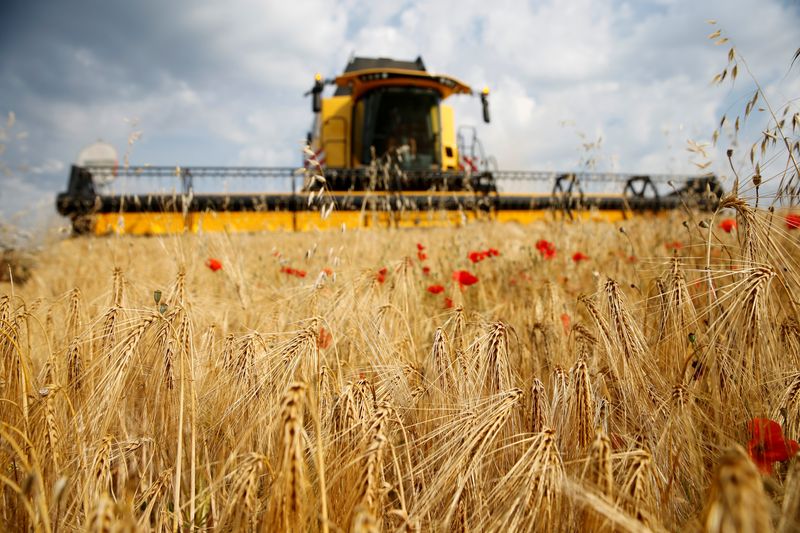 &copy; Reuters. FILE PHOTO: A French farmer harvests barley, in Les-Rues-Des-Vignes near Cambrai, France, June 26, 2020. REUTERS/Pascal Rossignol/File Photo