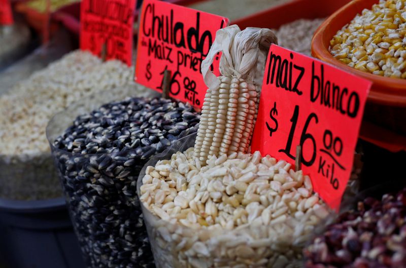 &copy; Reuters. Diferentes variedades de milho mexicano na Cidade do México
23/01/2023
REUTERS/Henry Romero