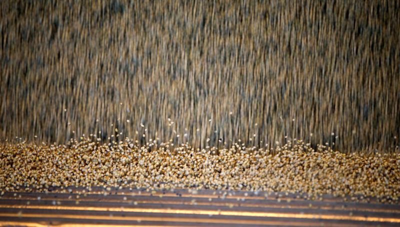 &copy; Reuters. FOTO DE ARCHIVO: Granos de soja se vierten desde un camión en la planta de almacenamiento de la empresa Grobocopatel Hermanos en Carlos Casares, Argentina. 16 de abril, 2018. REUTERS/Agustin Marcarian/Archivo