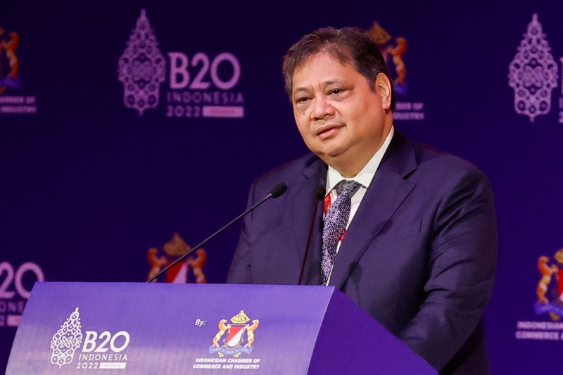 &copy; Reuters. FILE PHOTO: Indonesian Coordinating Minister for Economic Affairs Airlangga Hartarto delivers his address on Public and Private Partnership to Spur Economic Growth, during the the B20 Summit, ahead of the G20 leaders’ summit, in Nusa Dua, Bali, Indonesi