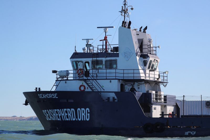 &copy; Reuters. Seahorse, a nova embarcação da Sea Shepherd, é fotografada perto de San Felipe, no Golfo da Califórnia
24/01/2023
REUTERS/Raquel Cunha