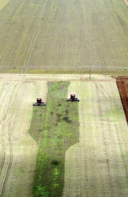 © Reuters. Colheita de soja em Mato Grosso
27/01/2023
REUTERS/Paulo Whitaker  PW/HB