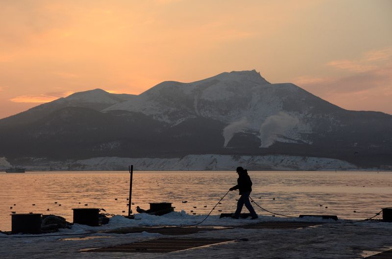 &copy; Reuters. منظر عام يظهر جزيرة كوناشير إحدى الجزر الأربع المعروفة باسم الكوريل في روسيا وباسم الأقاليم الشمالية في اليابان. صورة من أرشيف رويترز . 