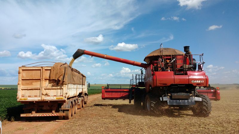 &copy; Reuters. FOTO DE ARCHIVO: Granos de soja son cargados en un camión en un campo en el municipio de Campo Verde en el estado de Mato Grosso, Brasil. 10 de enero, 2017. REUTERS/Gustavo Bonato/Archivo