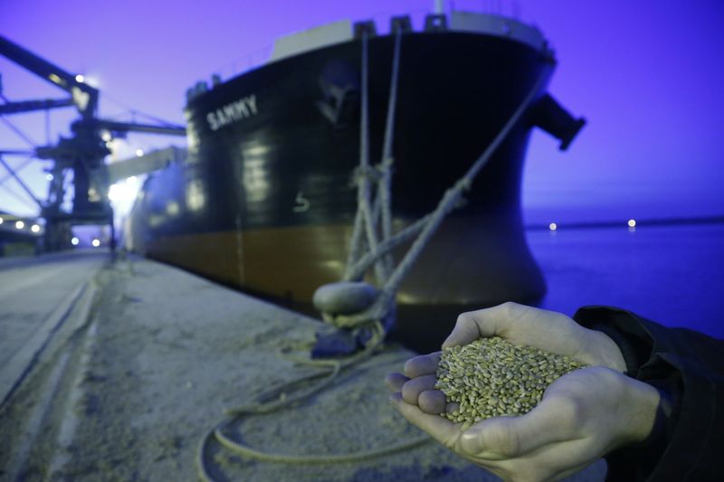 &copy; Reuters. FOTO DE ARCHIVO: Un hombre muestra un puñado de granos de trigo francés mientras se carga el &quot;Sammy&quot; en el puerto de Dunkerque
