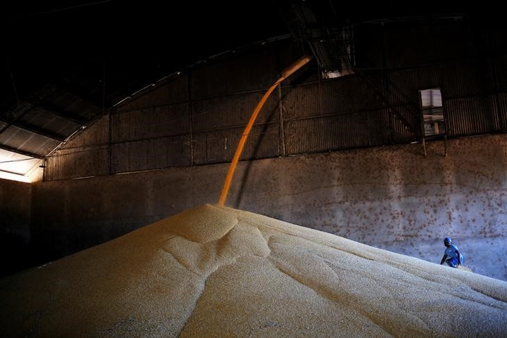 Futuros de harina de soja tocan máximo de varios años, soja cae en Chicago