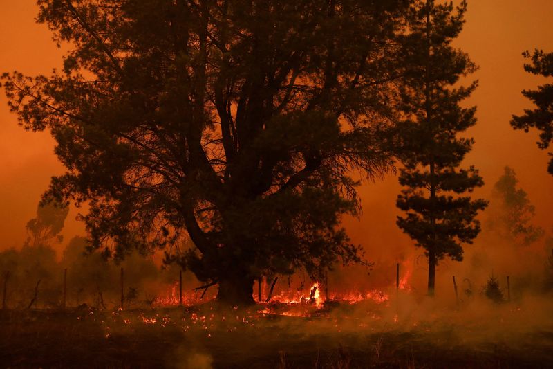 © Reuters. A wildfire burns areas in Santa Juana, near Concepcion, Chile, February 4, 2023. REUTERS/Ailen Diaz