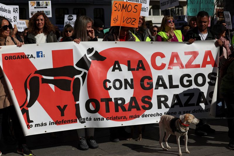 &copy; Reuters. Demonstrators take part in a protest against hunting amidst amendment proposals that seek to leave hunting dogs and other animals involved in traditional rural activities out of the country's proposed animal welfare bill, in Madrid, Spain, February 5, 202