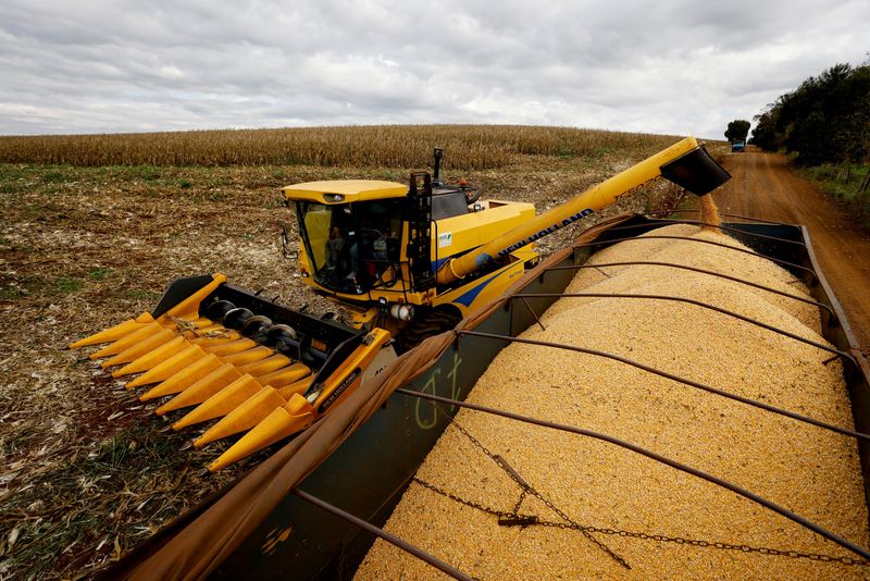 &copy; Reuters. Agricultor usa colheitadeira para colher milho em Maringá
13/07/2022 REUTERS/Rodolfo Buhrer/