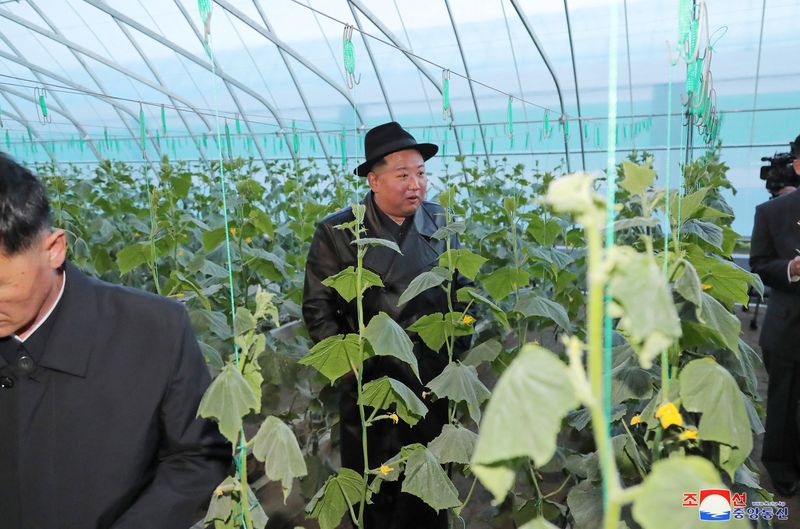 &copy; Reuters. Líder da Coreia do Norte, Kim Jong Un, participa de cerimônoa em fazenda no país
11/10/2022 KCNA via REUTERS