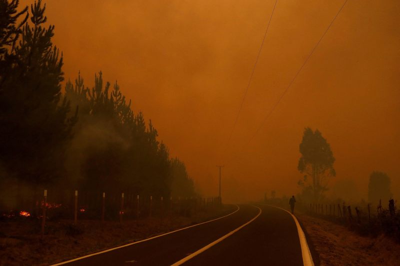 &copy; Reuters. Incêndios florestais perto da cidade de Santa Juana, Concepción, no centro-sul do Chile
04/02/2023
REUTERS/Ailen Diaz