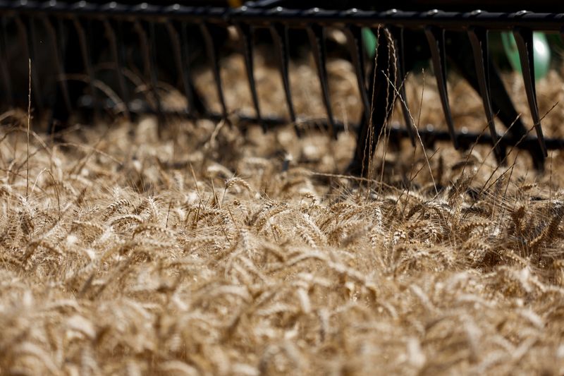 &copy; Reuters. FOTO DE ARCHIVO: Una segadora Deere & Co. corta a través de un campo de trigo durante la cosecha de verano en Survilliers, Francia. 15 de julio, 2022. REUTERS/Benoit Tessier/Archivo