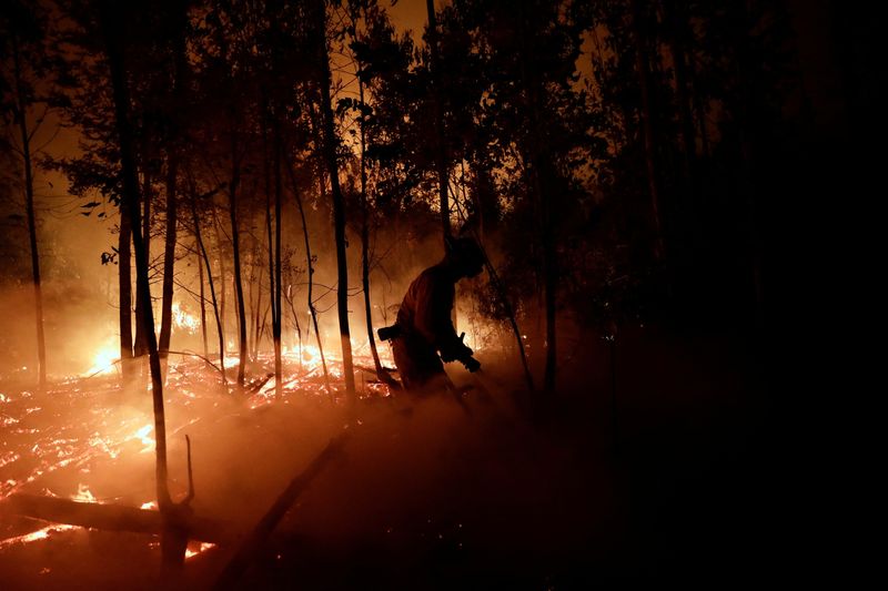 © Reuters. A firefighter works to extinguish a wildfire in Rafael, near Concepcion, Chile, February 7, 2023 REUTERS/Juan Gonzalez
