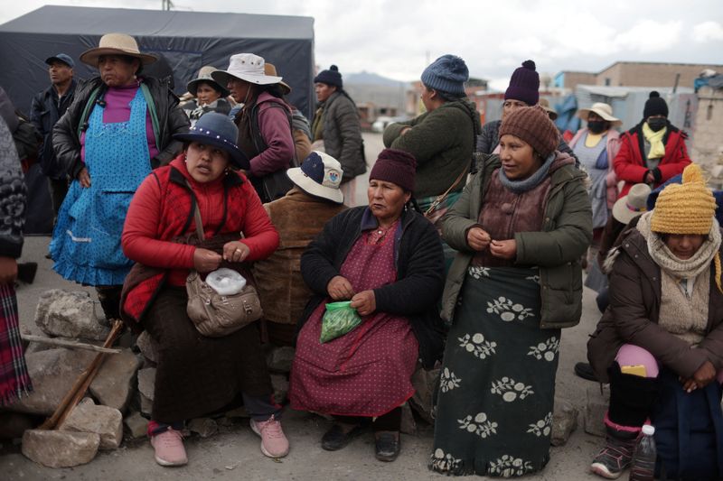 &copy; Reuters. 　ペルーは、過去２０年で最悪の社会不安に見舞われている。高原地方で活動する何千人もの観光ガイドらは、客足が遠のく中、２カ月にわたり自宅待機状態だ。写真は、ボルアルテ大統領