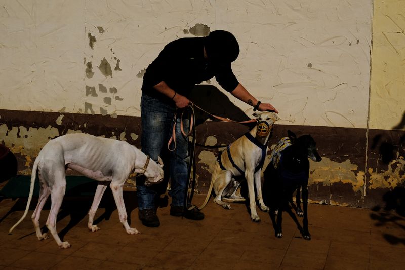 &copy; Reuters. A trainer works with a greyhound as they wait to be adopted by families at the Benjamin Mehnert Foundation (BMF), which shelters more than 600 animals, most of which are greyhounds that have suffered mistreatment or abandonment, in Utrera, near Seville, S