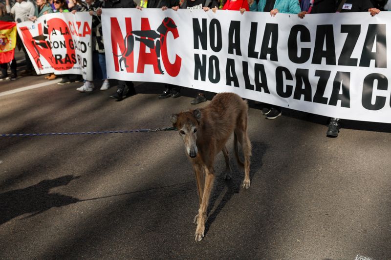 &copy; Reuters. FILE PHOTO: A dog stands in front of a banner reading "No to hunting with dogs" during a protest against hunting amidst amendment proposals that seek to leave hunting dogs and other animals involved in traditional rural activities out of the country's pro